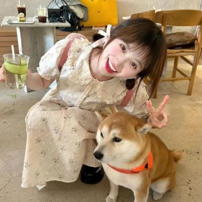 爱在此时